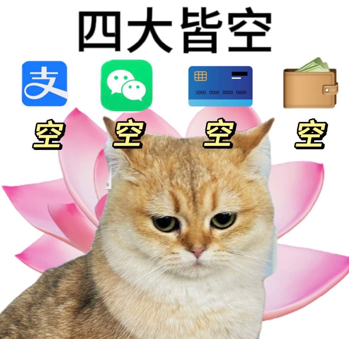 双十一付完尾款的我belike ​