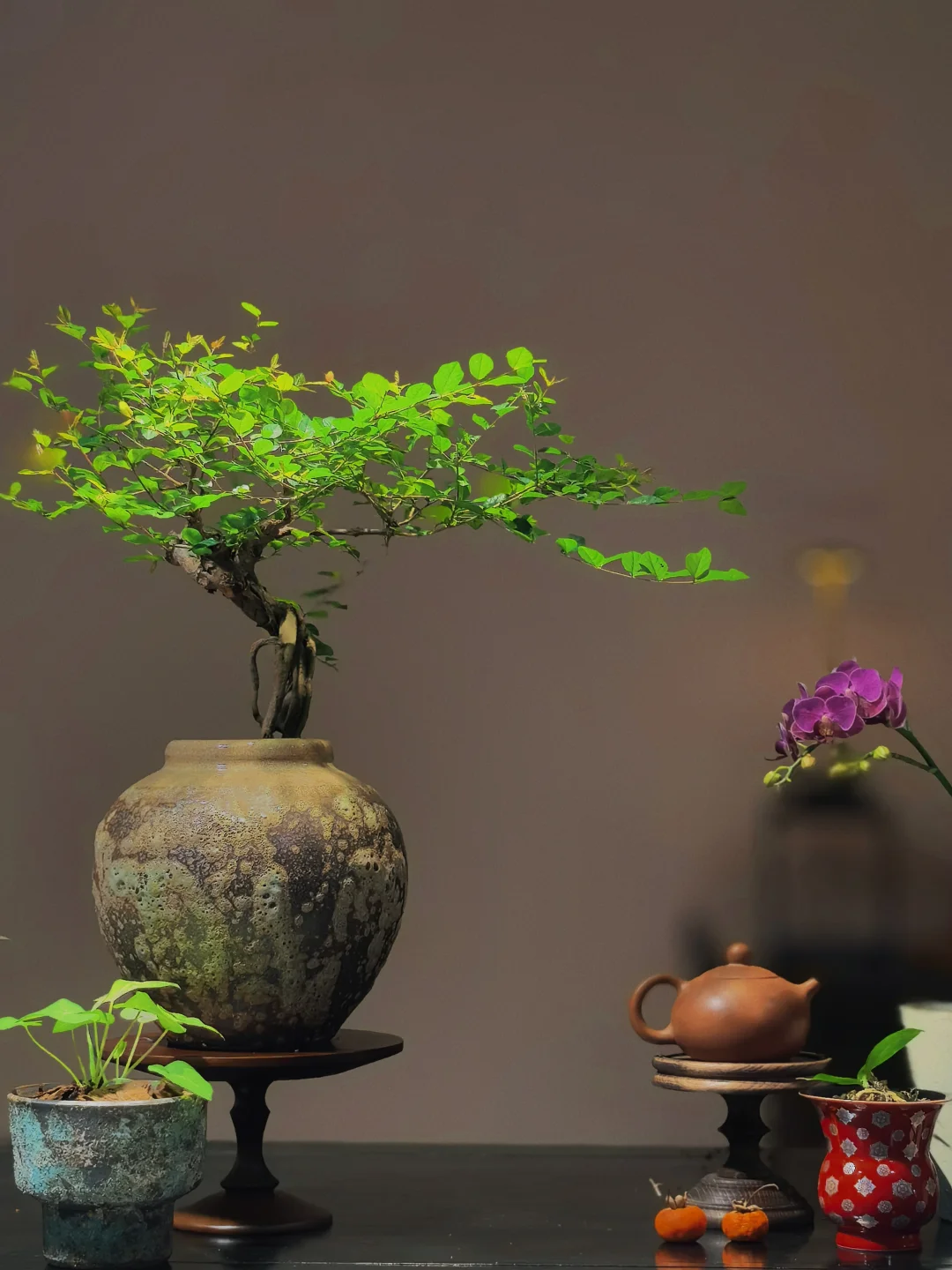“没点艺术细胞还真刷不到我”