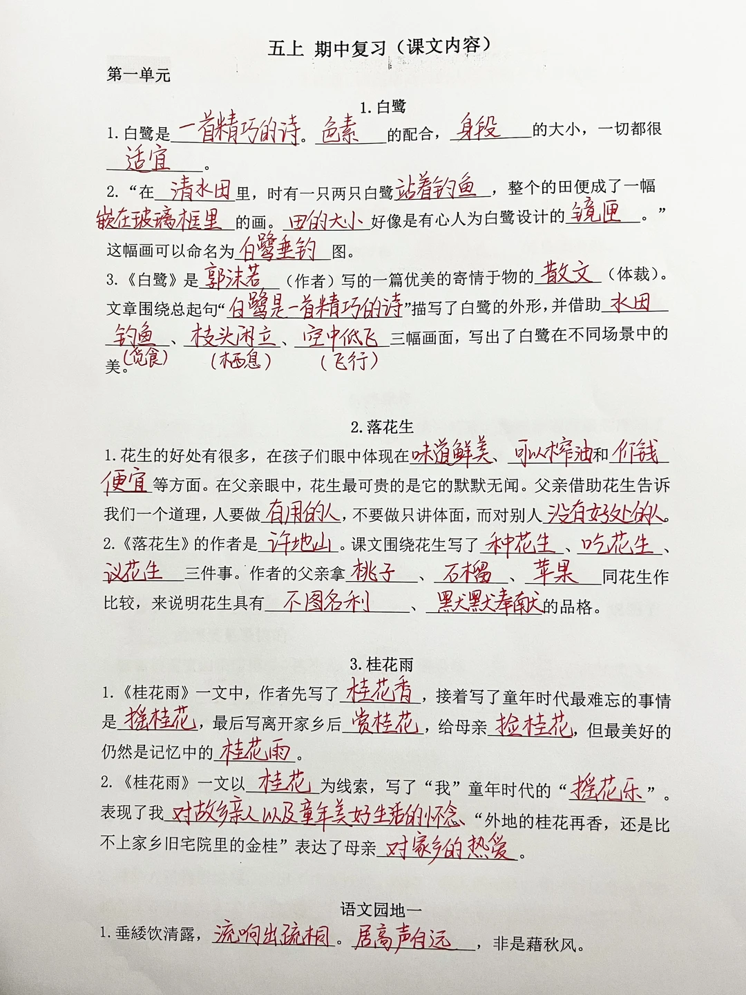 五年级上册期中考试复习资料