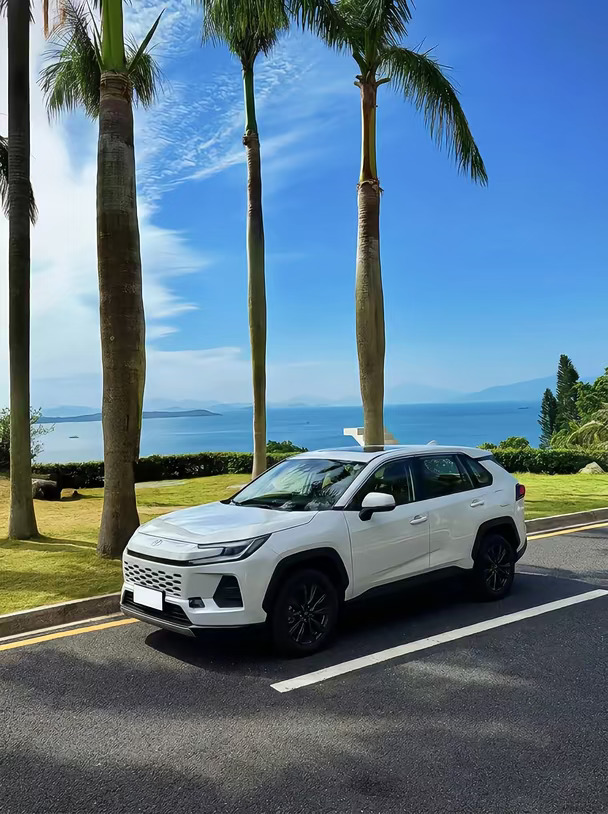 丰田威兰达2026款，海边椰林实拍🌴