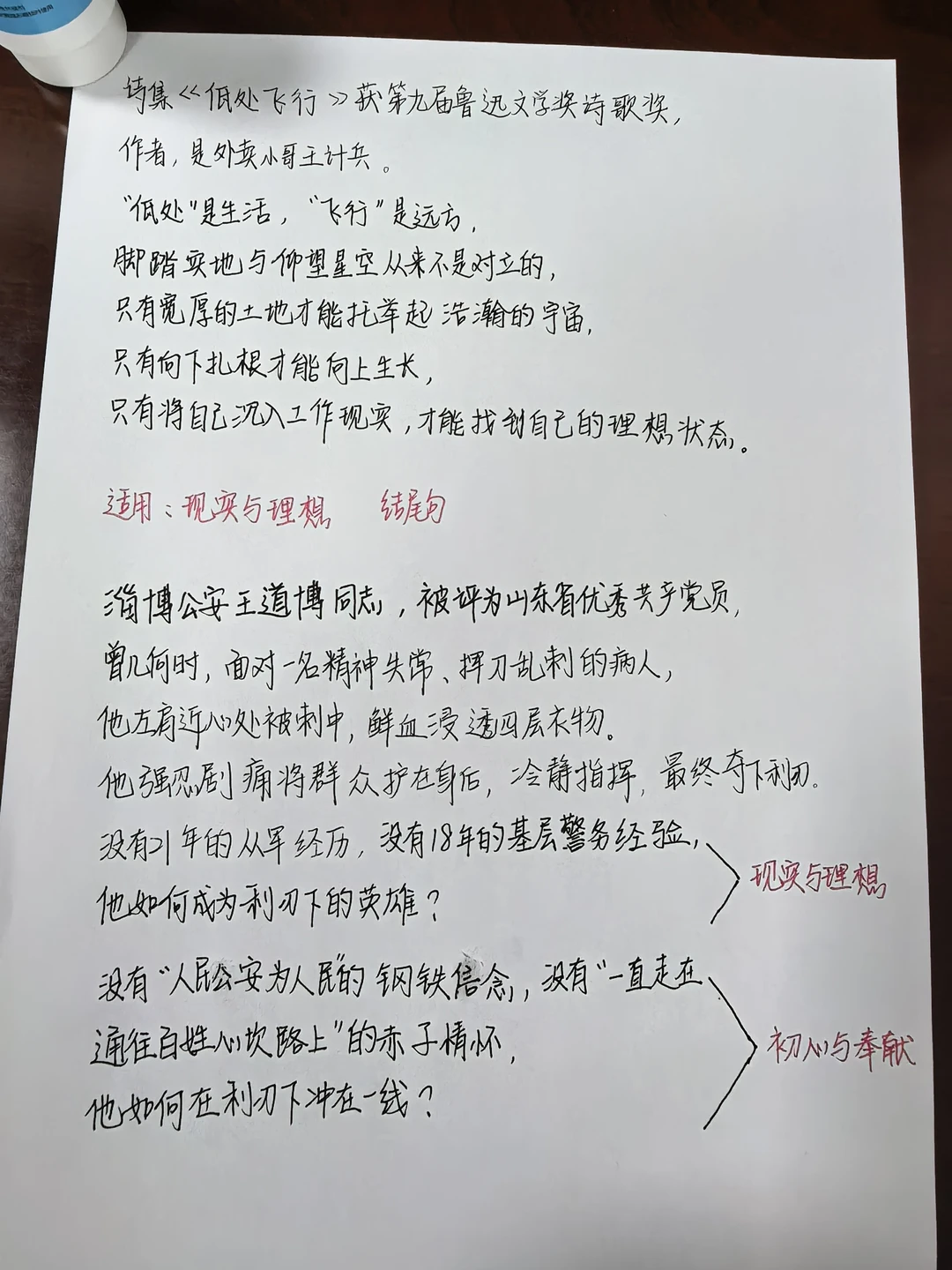 鲁迅文学奖《低处飞行》公安榜样人物王道博