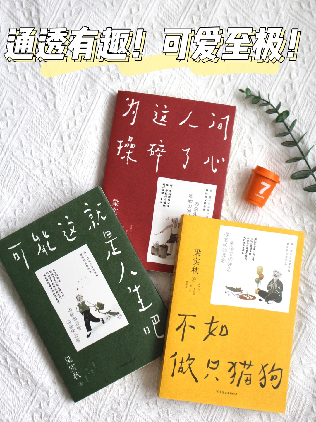 大写的治愈！读完我更爱这人间烟火了！