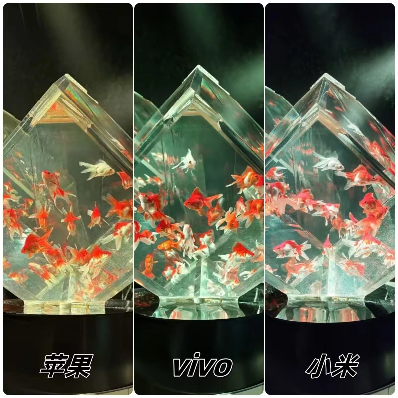 动图应该会是手机下一个标配功能吧