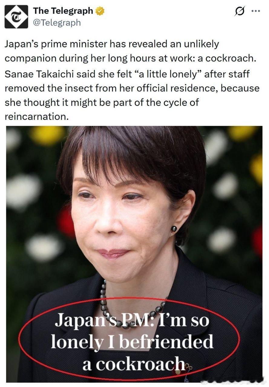 日本首相高市早苗近日在X上表示，自己此前在东京的首相官邸内发现了一只蟑螂。她从小就喜欢手冢治虫的漫画《火之鸟》，作品中涉及轮回转世的主题，因此即使成年后，她也一直不忍心亲手杀死昆虫，包括蟑螂。

高市早苗回忆说，当时她甚至想到：“也许这一生也是漫长轮回的一部分。”于是她没有处理这只 ​