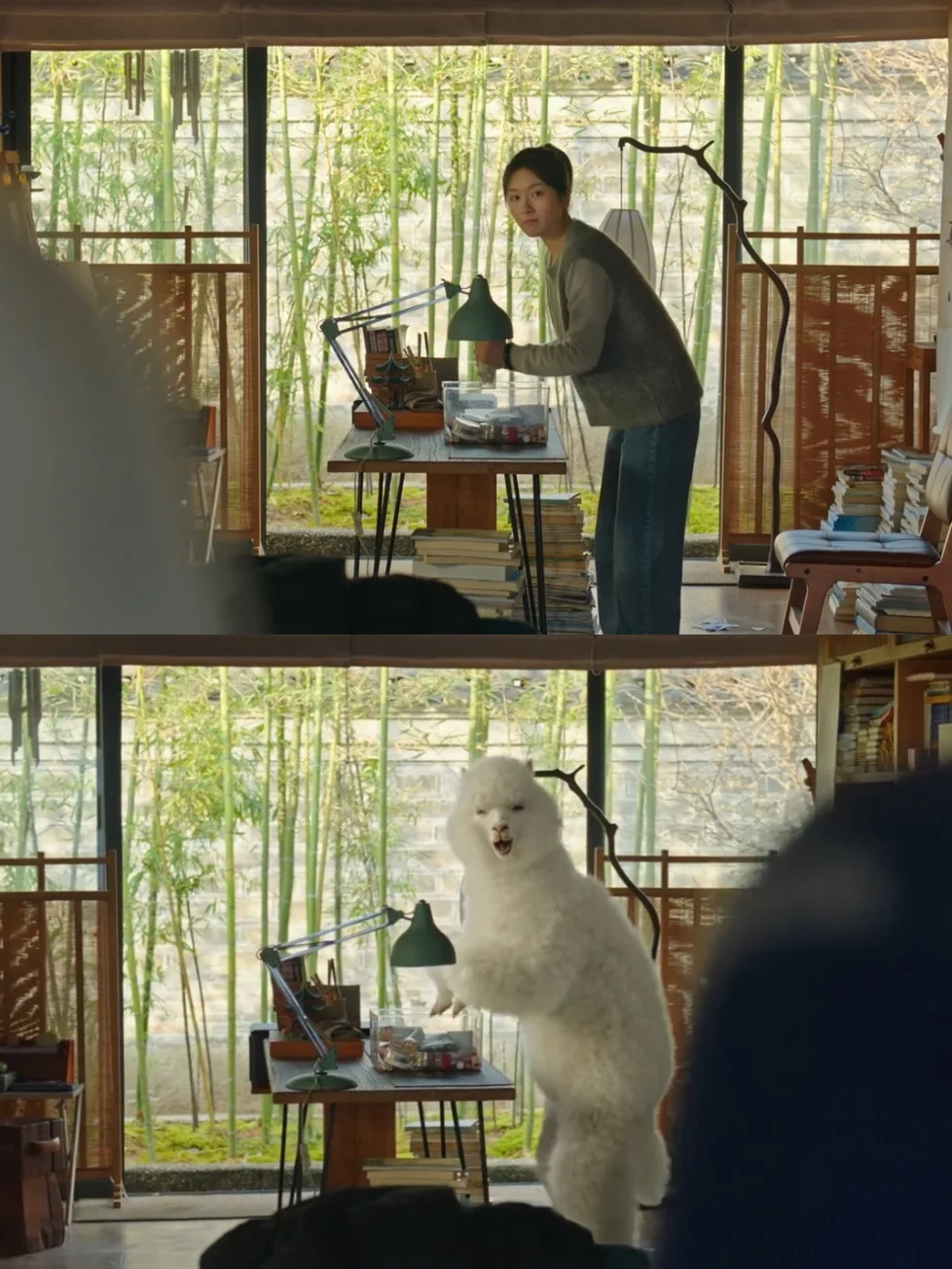 终于要播了❗️光看预告就笑疯❗️