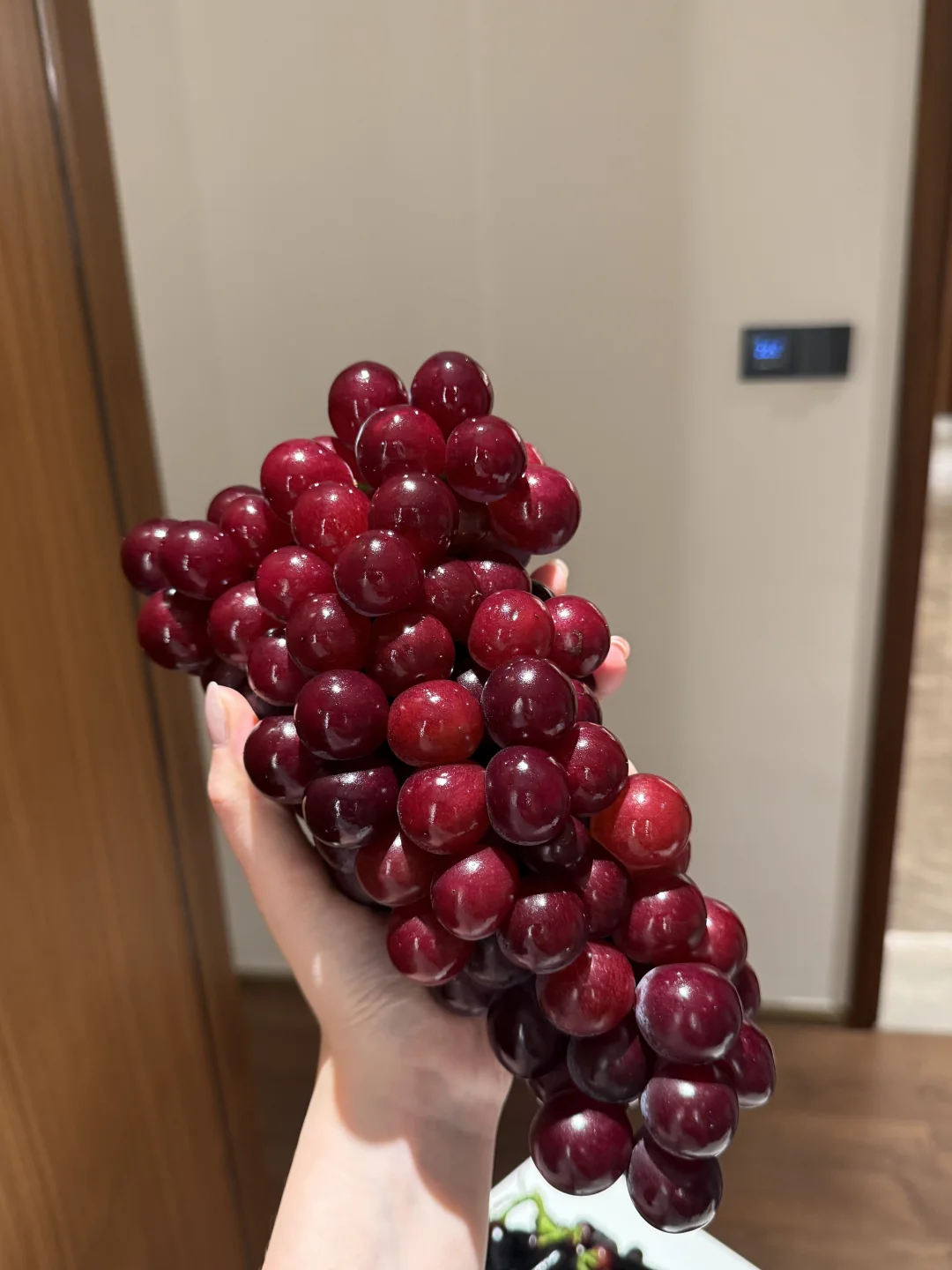 没有不吃超绝大组合的义务🫡