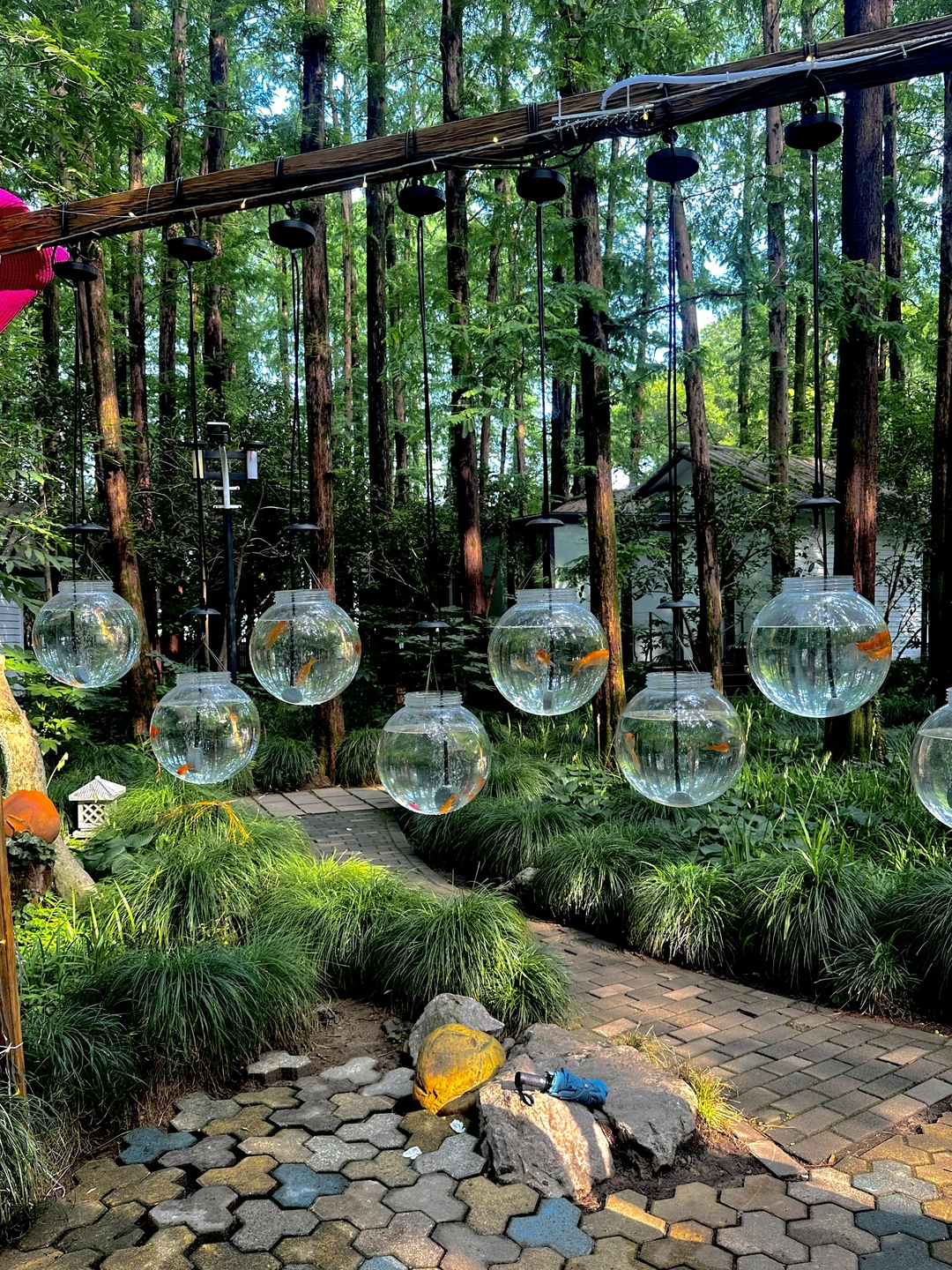 杭州周末超适合逛的10个地方！全免费‼️