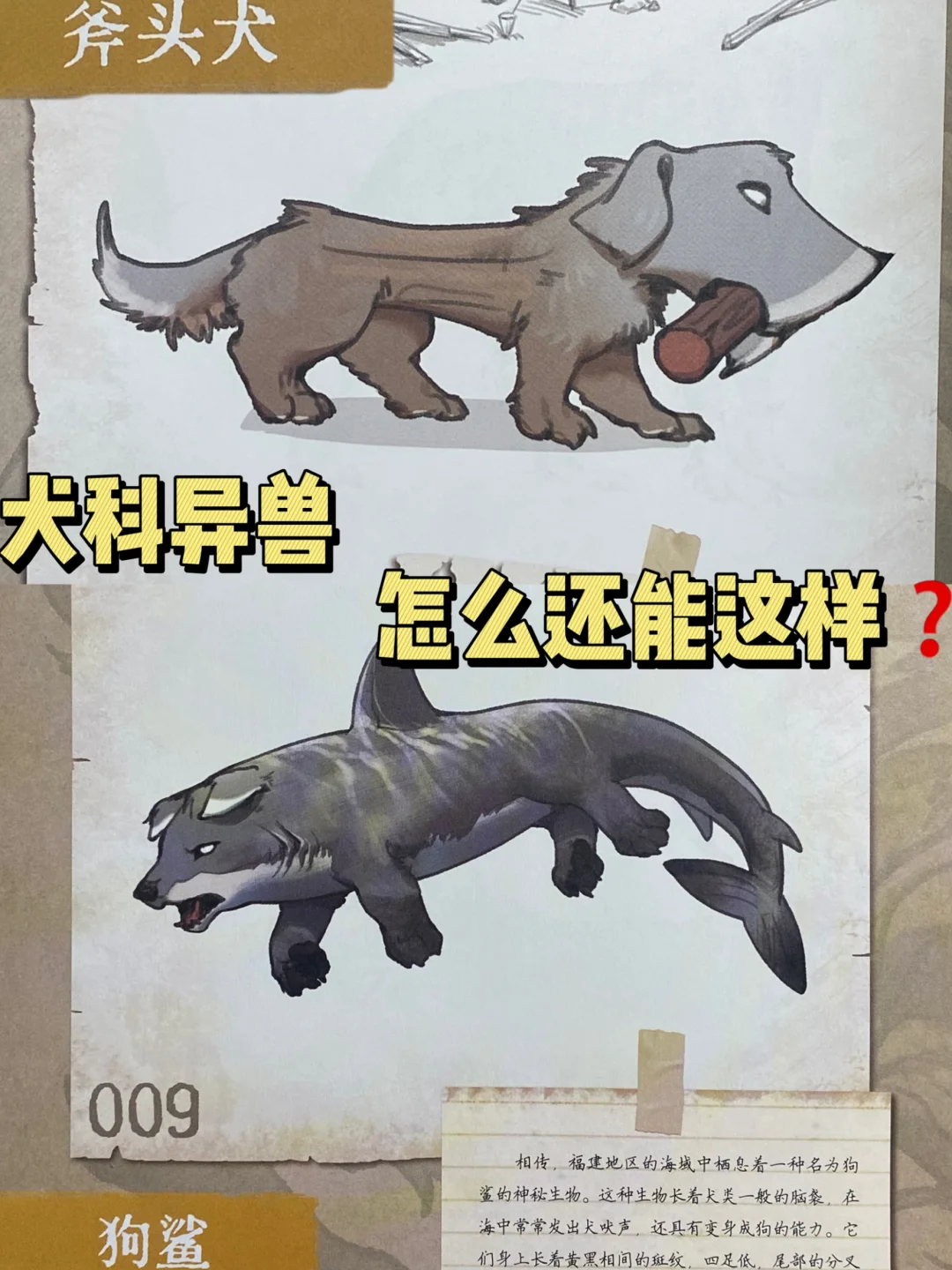 异兽图鉴🎨：这狗鲨真的好好笑🐶还有斧头狗