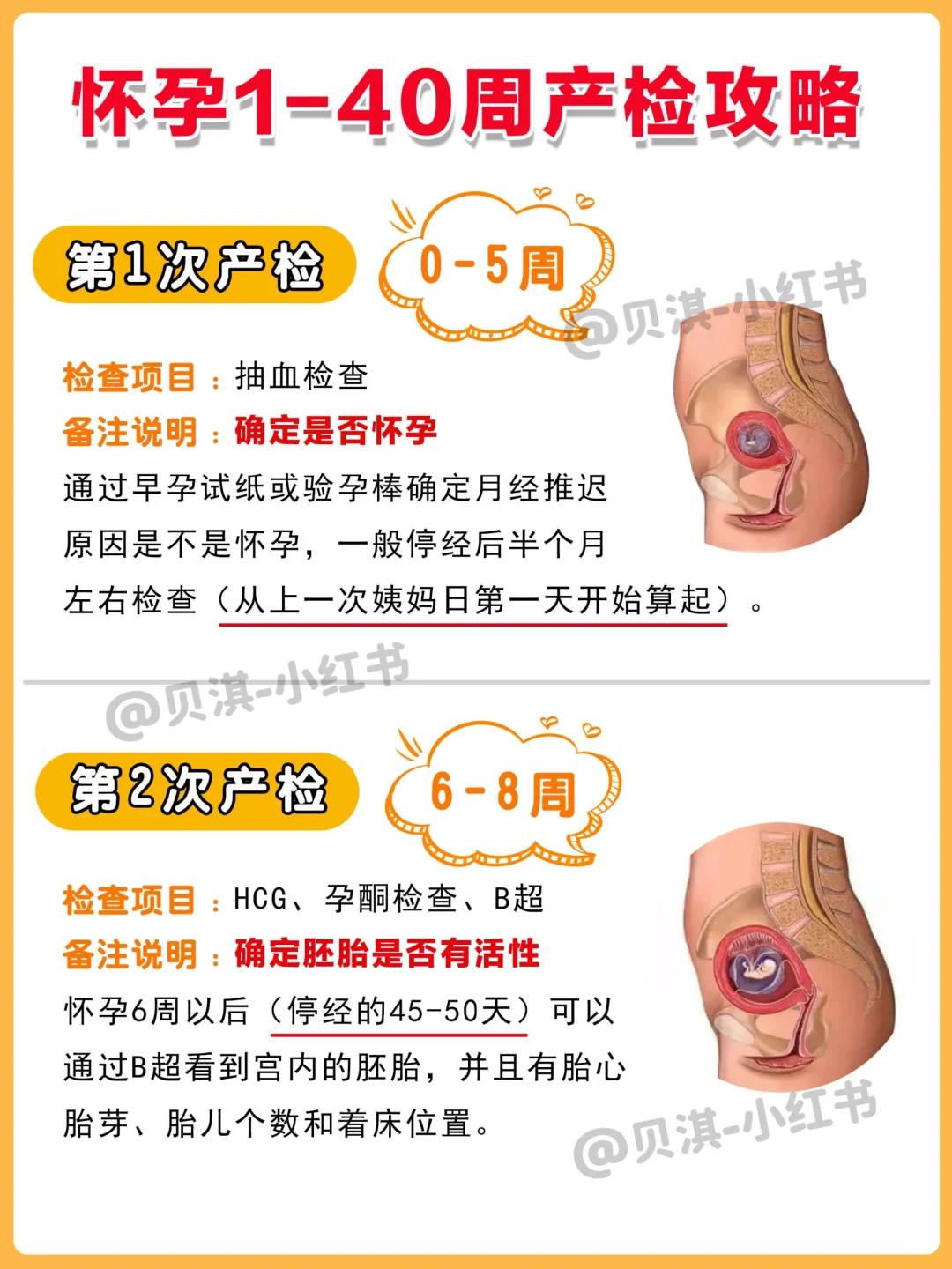 2023年超全孕检时间表‼️顺利一次过✅