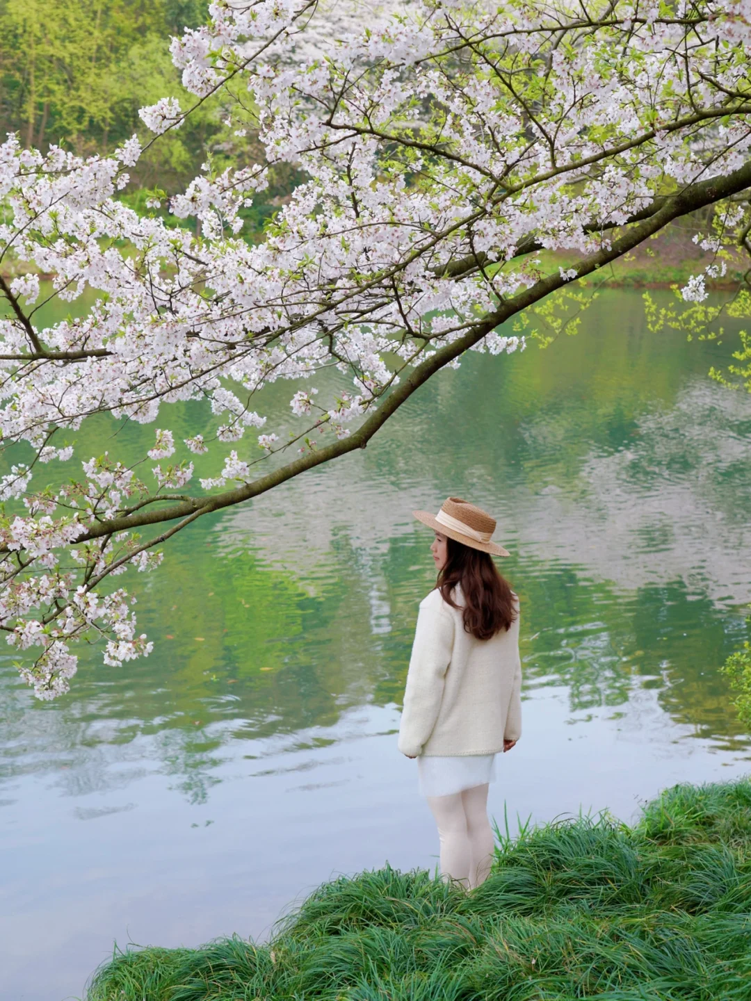 以为断桥已经够绝了，直到我去了三台山‼️