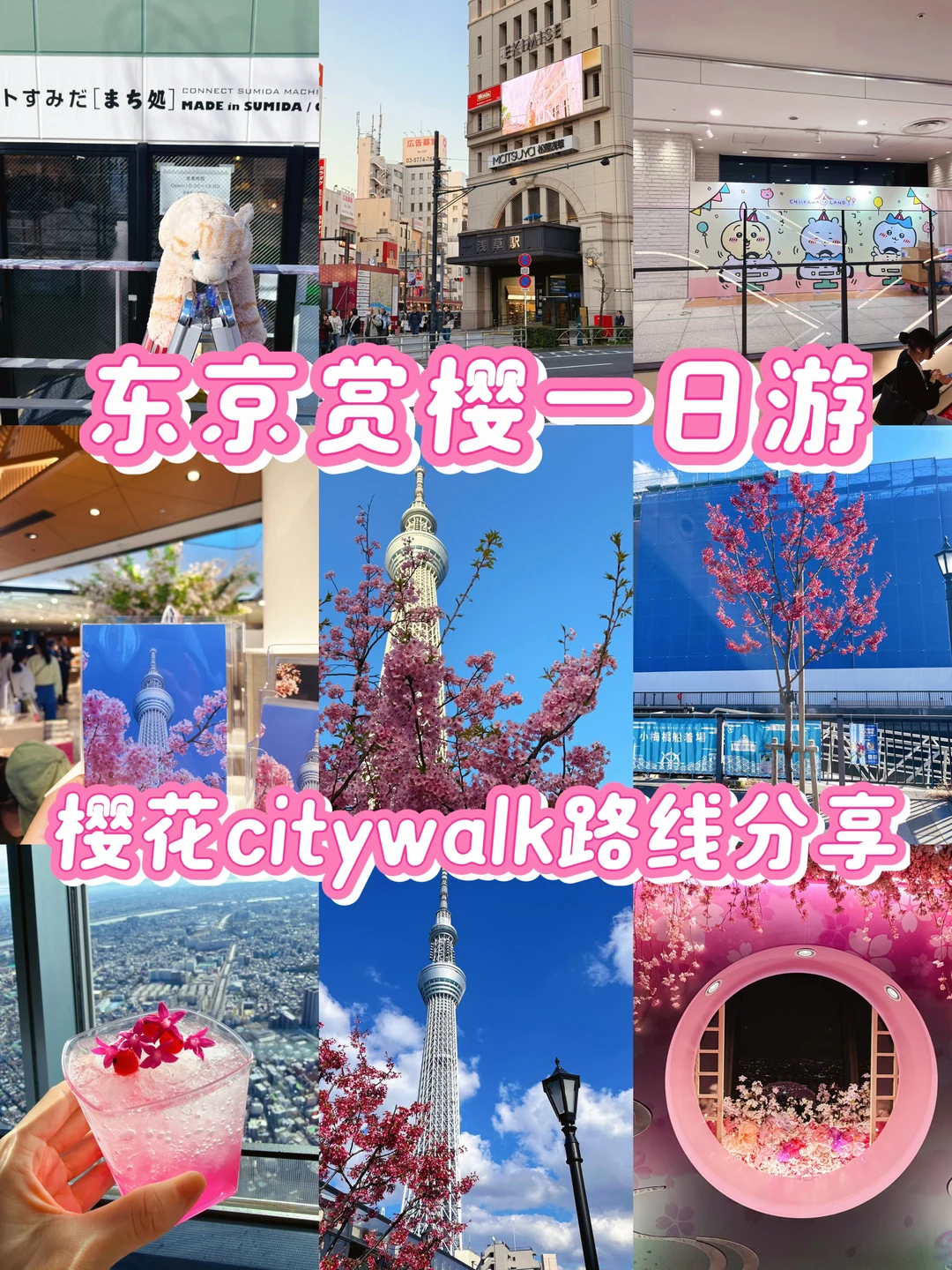 东京赏樱一日游🌸樱花citywalk路线分享