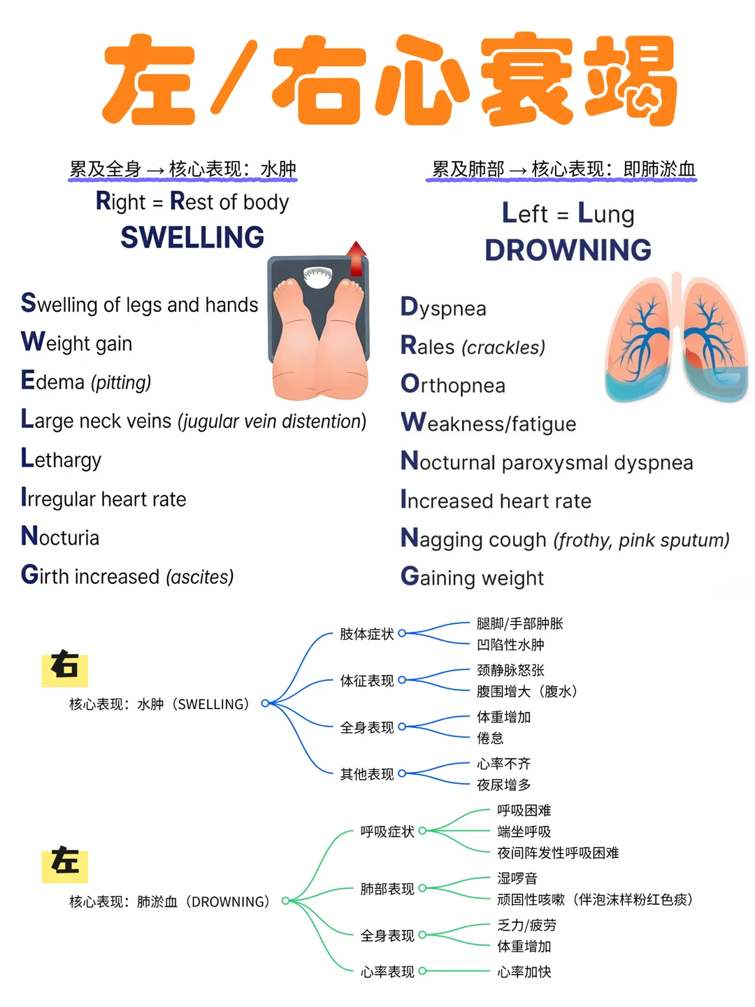 备考RN/左/右心衰竭！！学！！内容