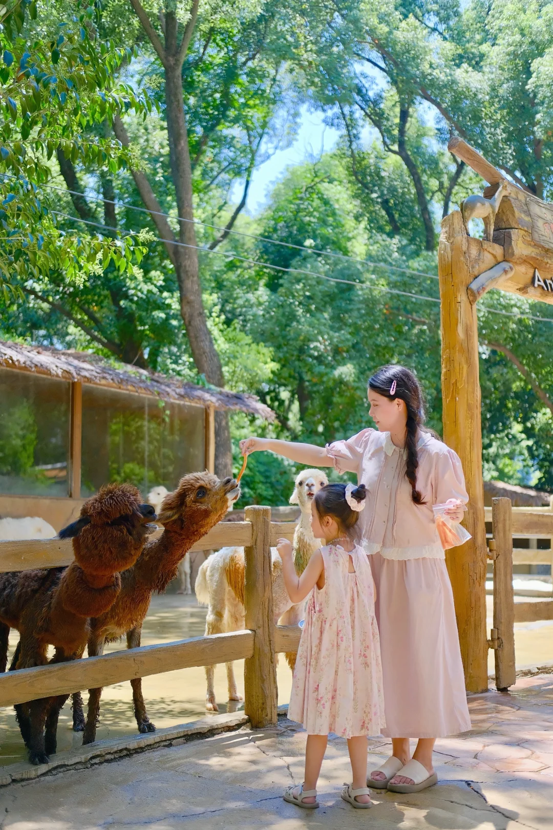 吐血整理❗东湖海洋乐园暑期遛娃全攻略