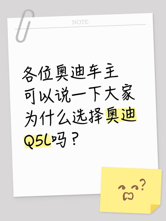 选奥迪Q5L的都是什么人❓️