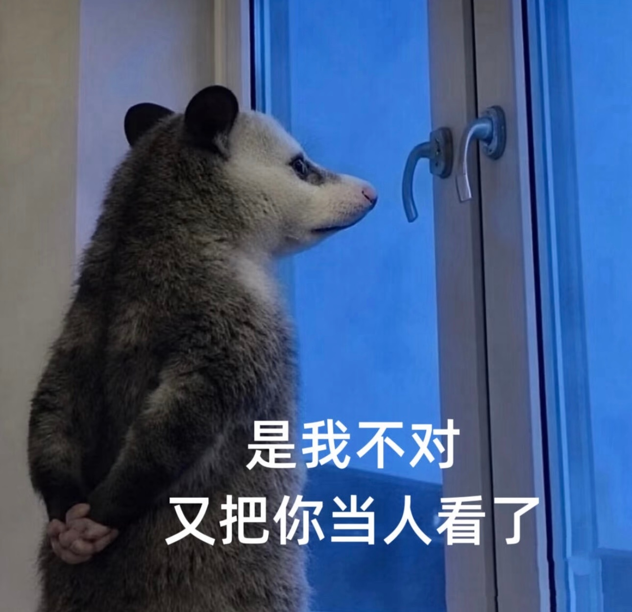 ​​​