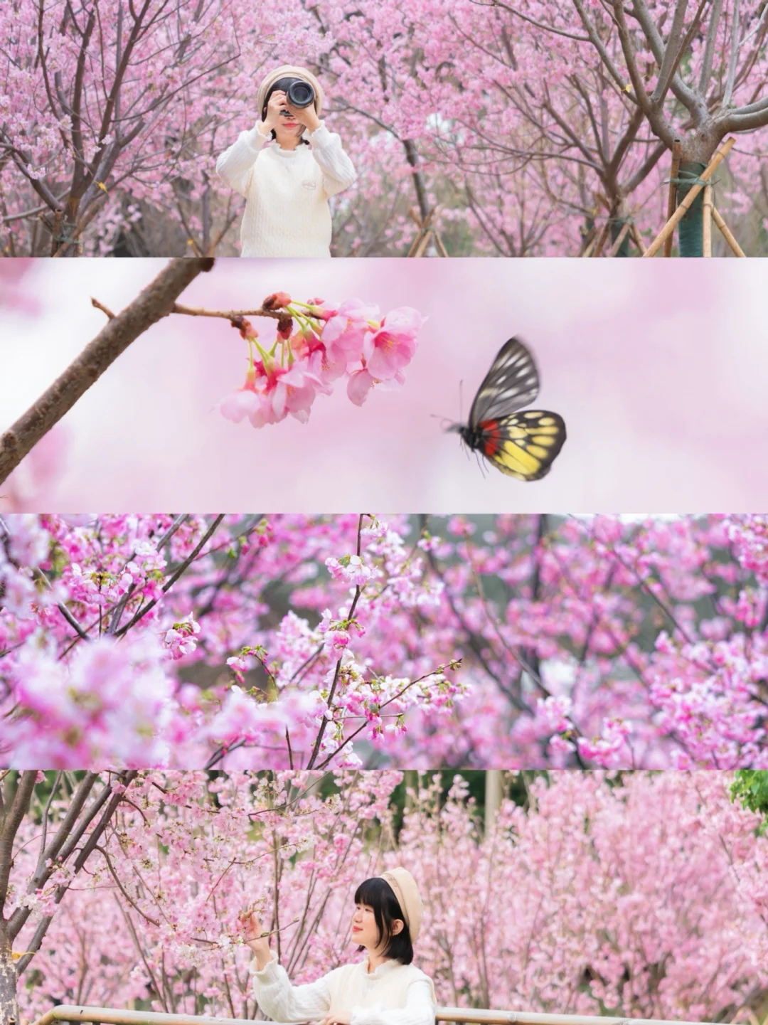 广州春节小众新地标！从化天人山水赢麻了~