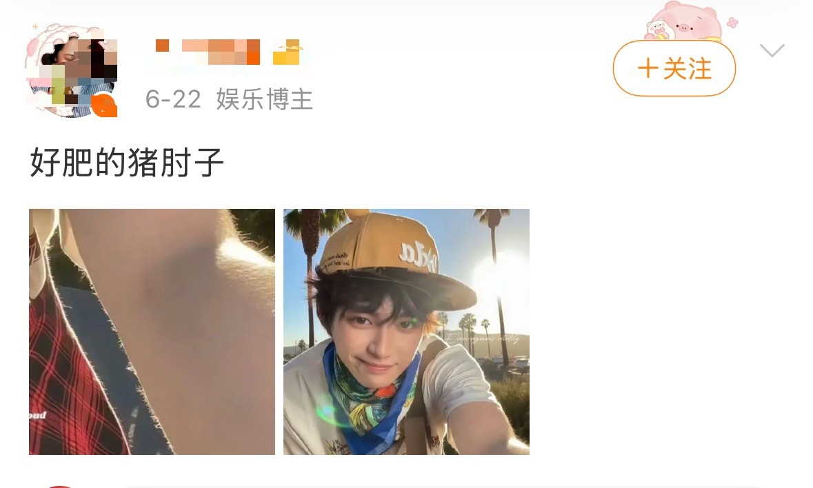 [笑cry]我以为是友军打开评论发现是真爱粉 《好肥的猪肘子》 ​​​