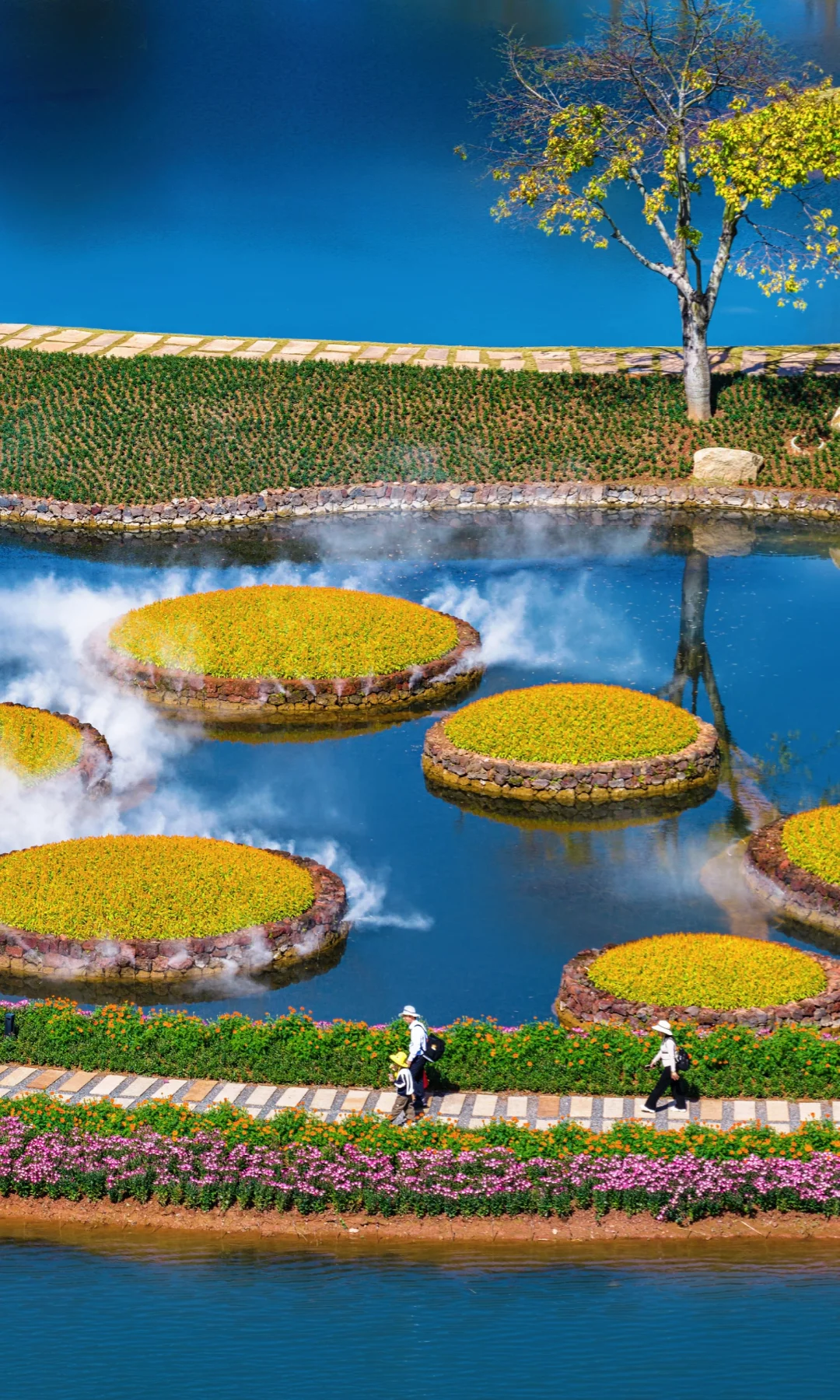 青秀山花都开好了，来感受南宁最多彩的冬日