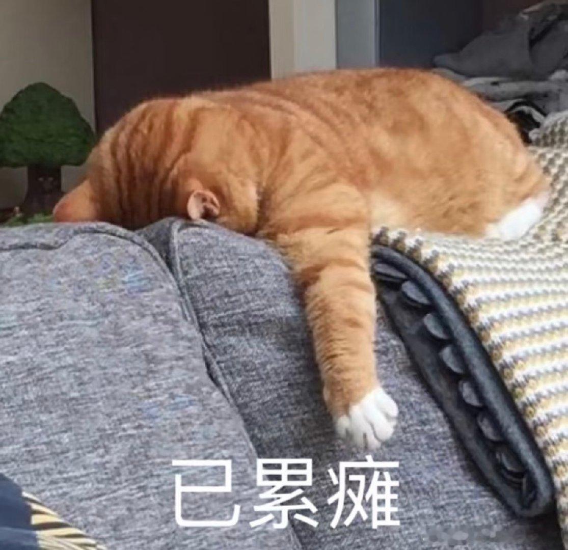 又去面试了！
我只是想找一份离家近一点、同事友好的工作咋这么难……（励志爬行中） ​