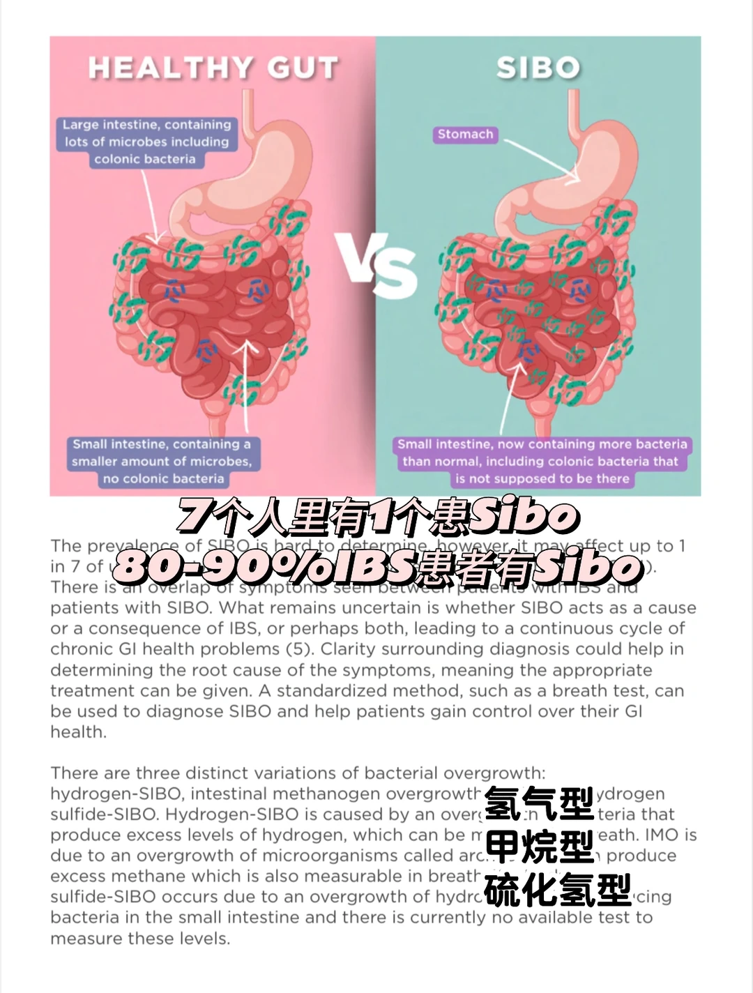 OMED｜what is Sibo, how is it diagnosed