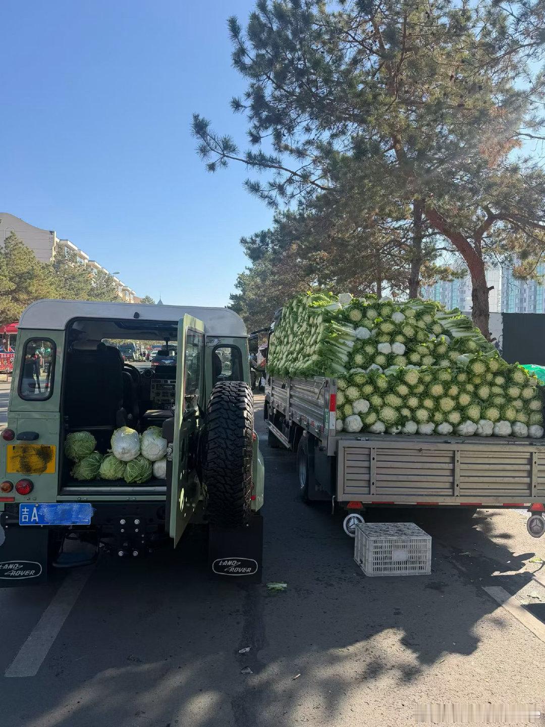 “长春这个季节不管你开多牛B的车都得给老妈拉大白菜，腌酸菜”[笑cry][笑cry][笑cry]
#我和汽车的日常##路虎卫士##带着微博去旅行# ​