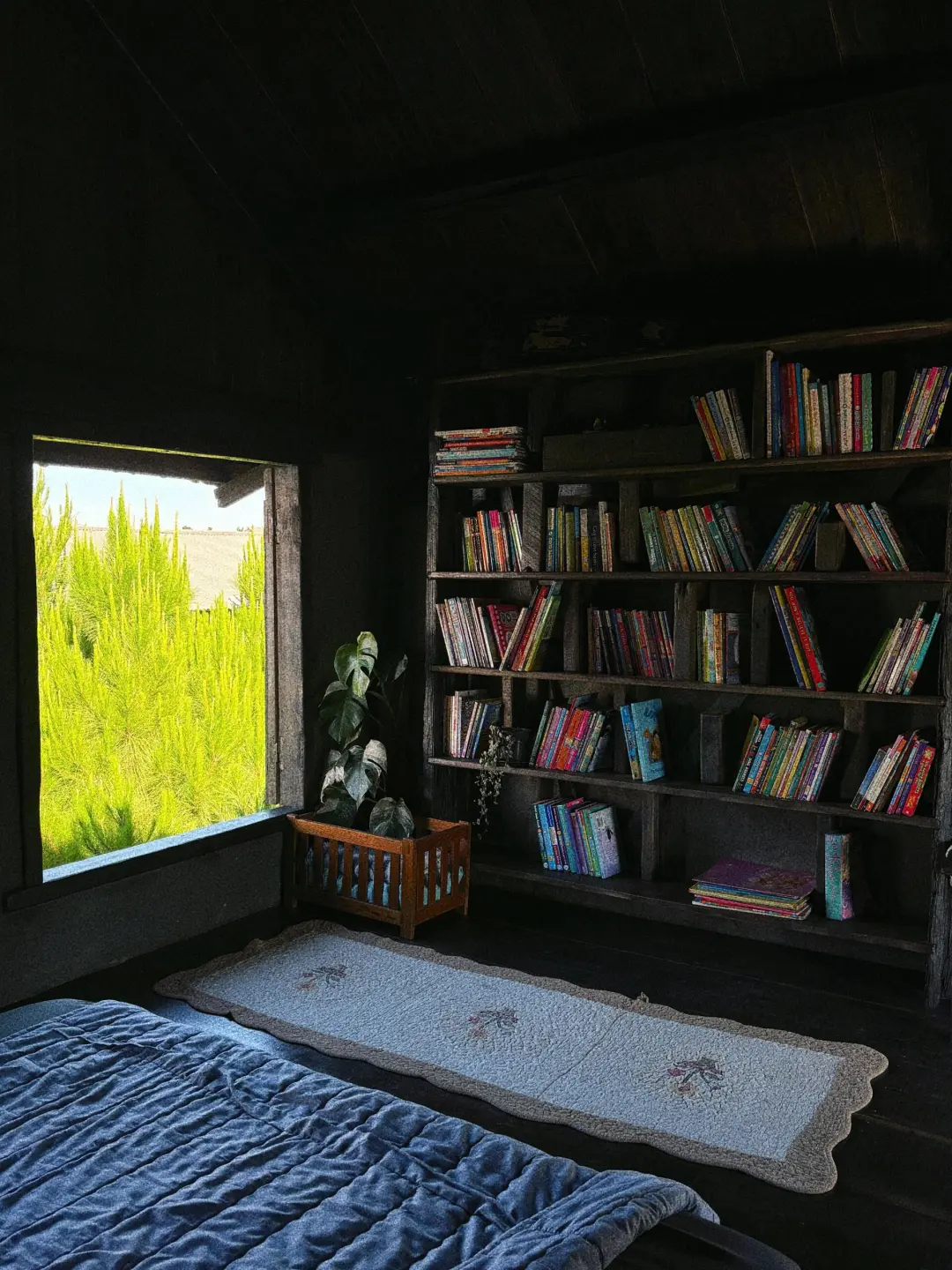 越南大叻🇻🇳人均50r的法式咖啡农场Airbnb