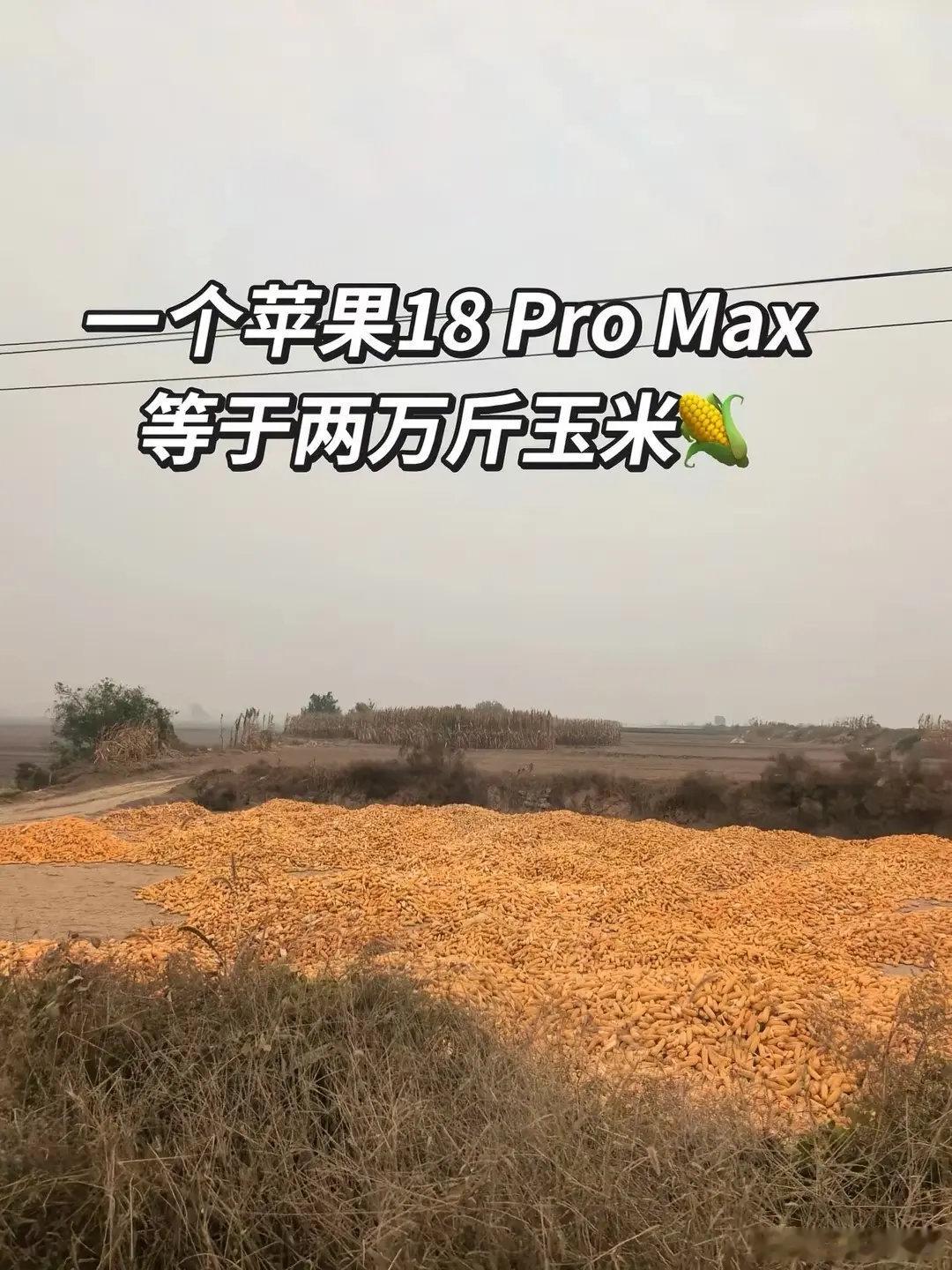 一个苹果18ProMax，等于两万斤玉米。

#才意识到一台苹果手机能换一万斤粮食# ​