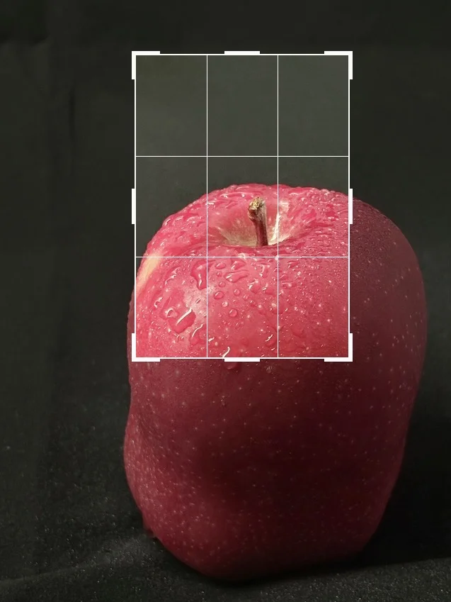 苹果🍎这样构图➕滤镜真的秒变高级氛围感❗️