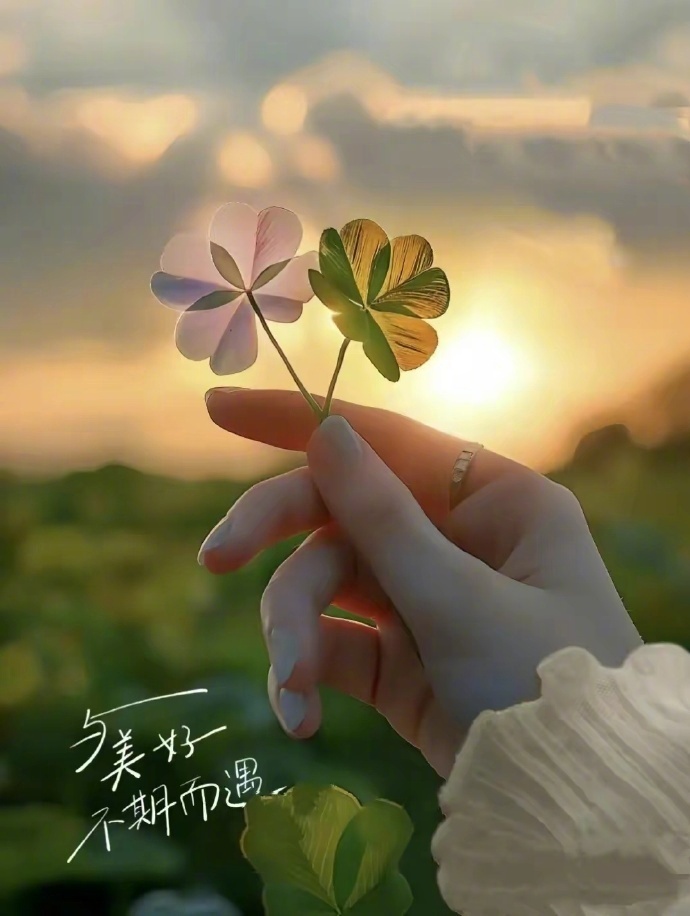 当你找不到自己的时候，                  任何地方都不...