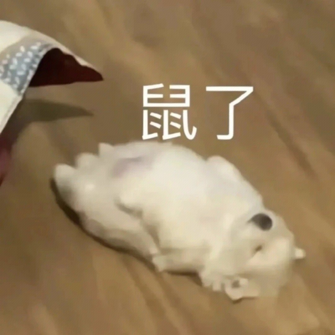 本人目前精神状态如下： ​​​