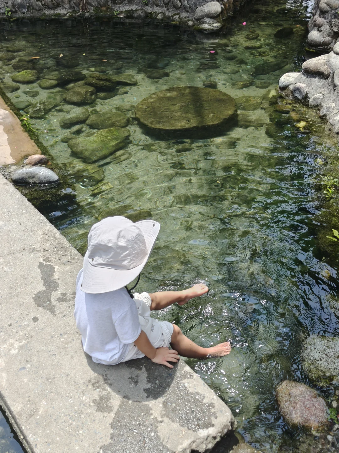 今年夏天抵达第一个天然泉水凼🦞抓小龙虾