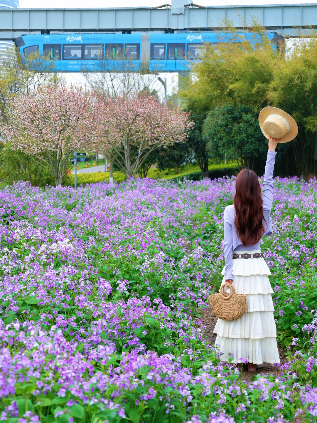 武汉樱花季一日游这条路线📍发朋友圈问爆了