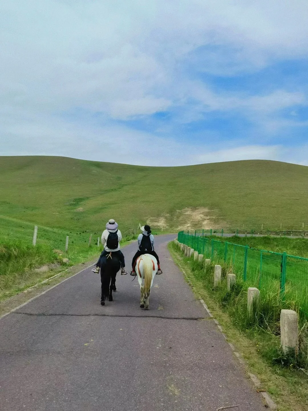 青甘大环线｜第二站来张掖去骑马🐎环湖