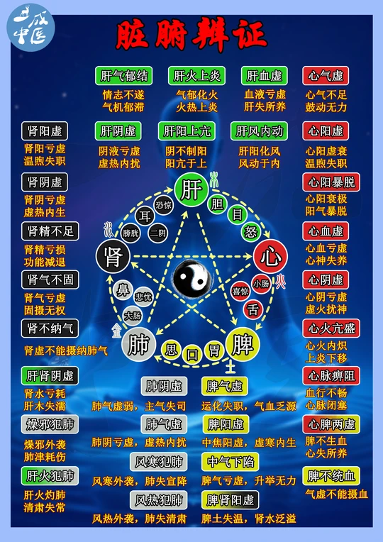 🌟超全脏腑辨证干货｜中医小白也能看懂！
