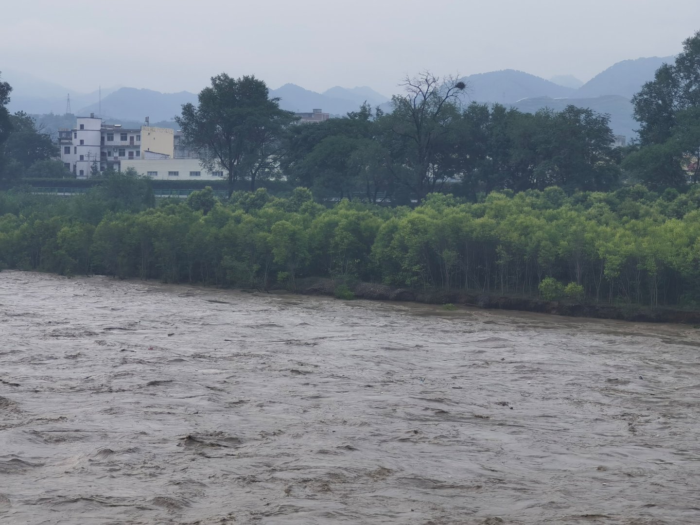 连日降雨，8月5日傍晚，丹凤龙潭沟波涛汹涌，丹江水位也上涨明显。   ​​​