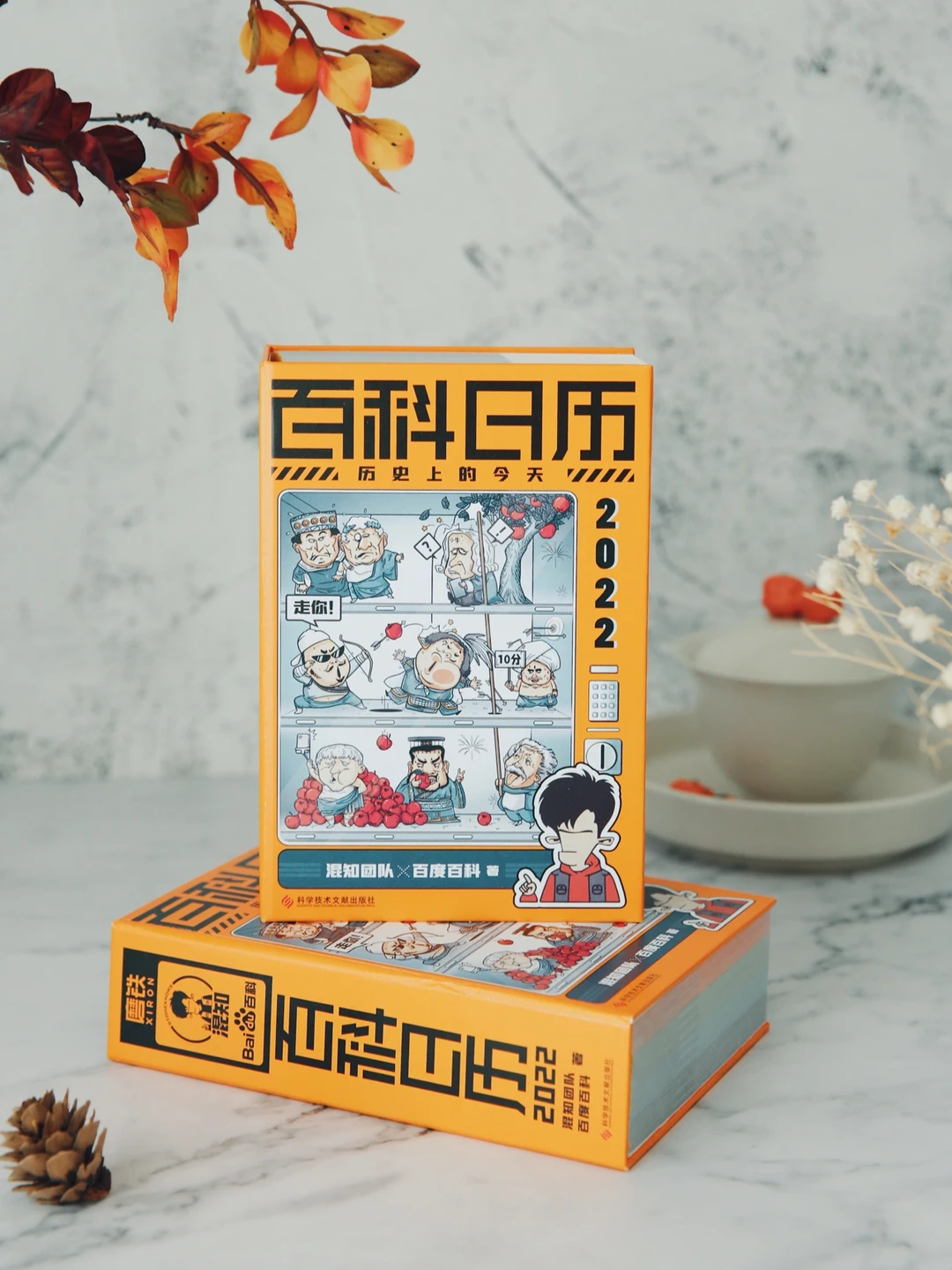 日历中的百科全书🧐每天比别人多懂一点知识