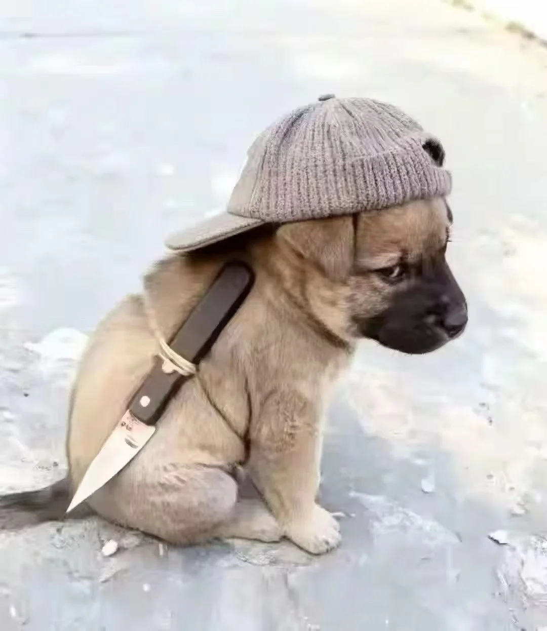 父母的吵架，带给孩子的恐惧感远远超过成人的想象，那是整个家庭世界的剧变，安全基地