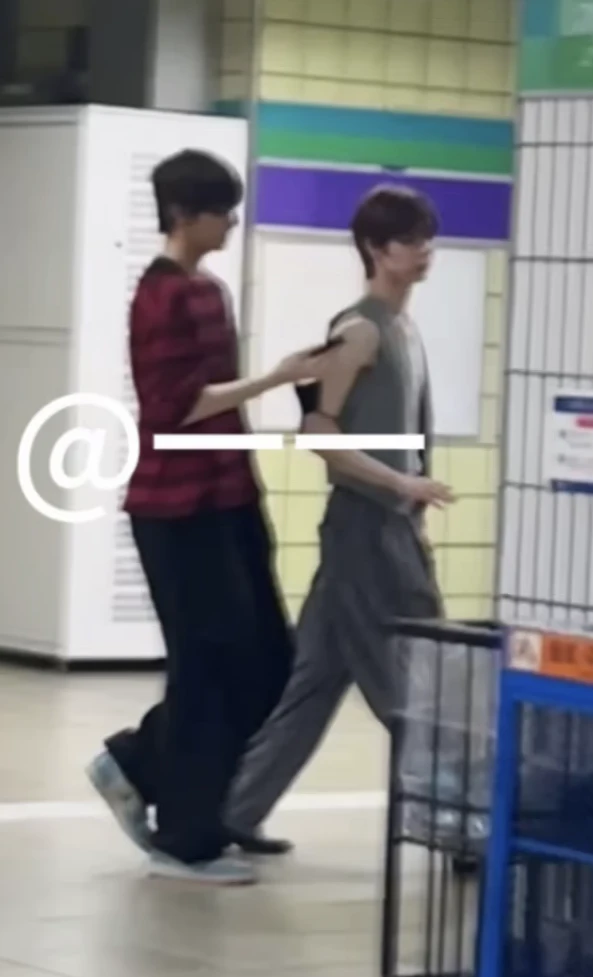 260725  小猪出门！