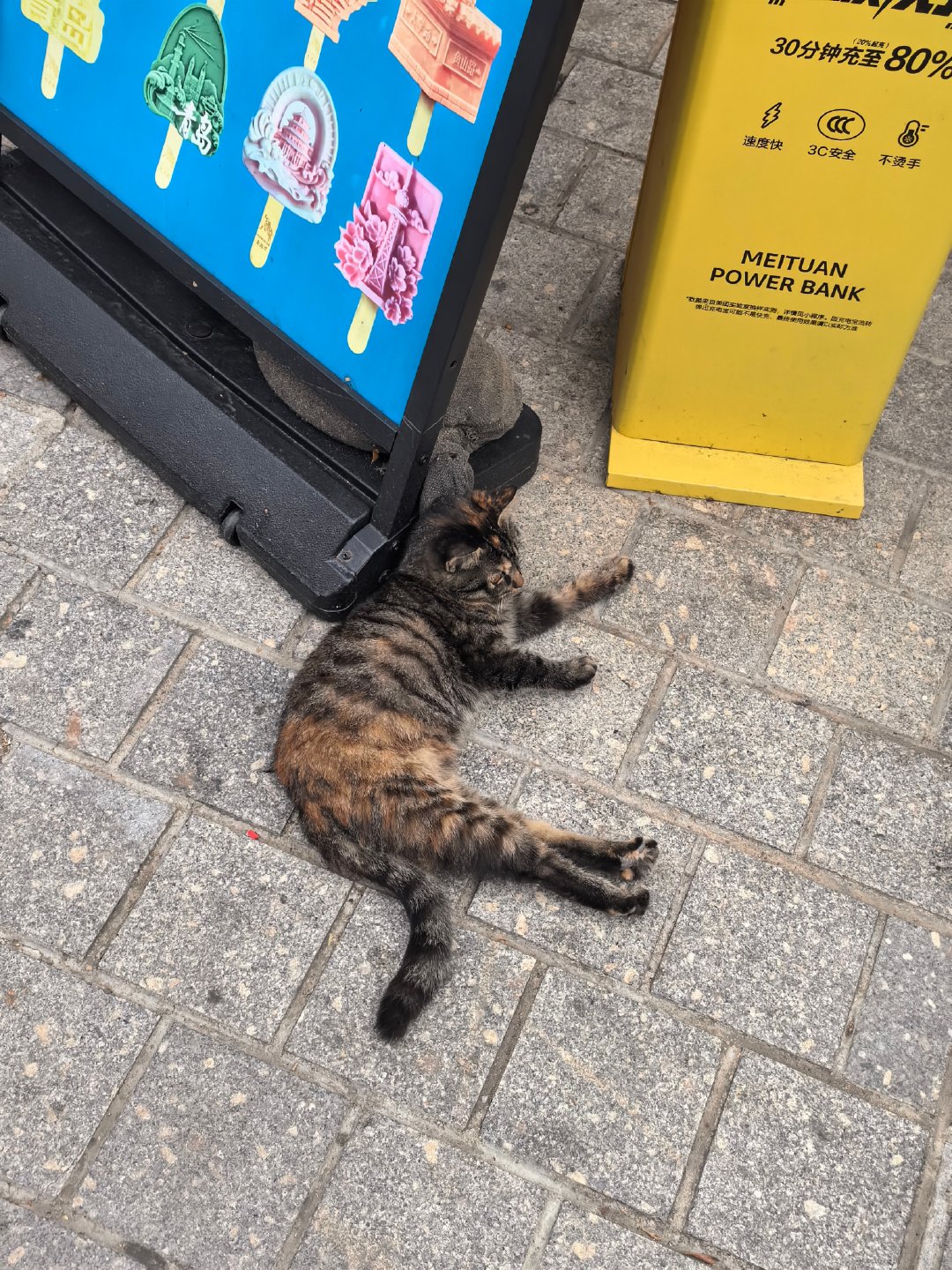 好想抱回家 ​