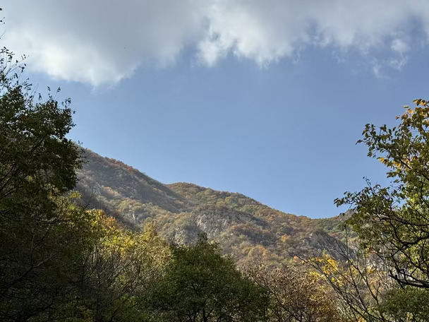 东灵山2刷 郑钦文中网夺冠