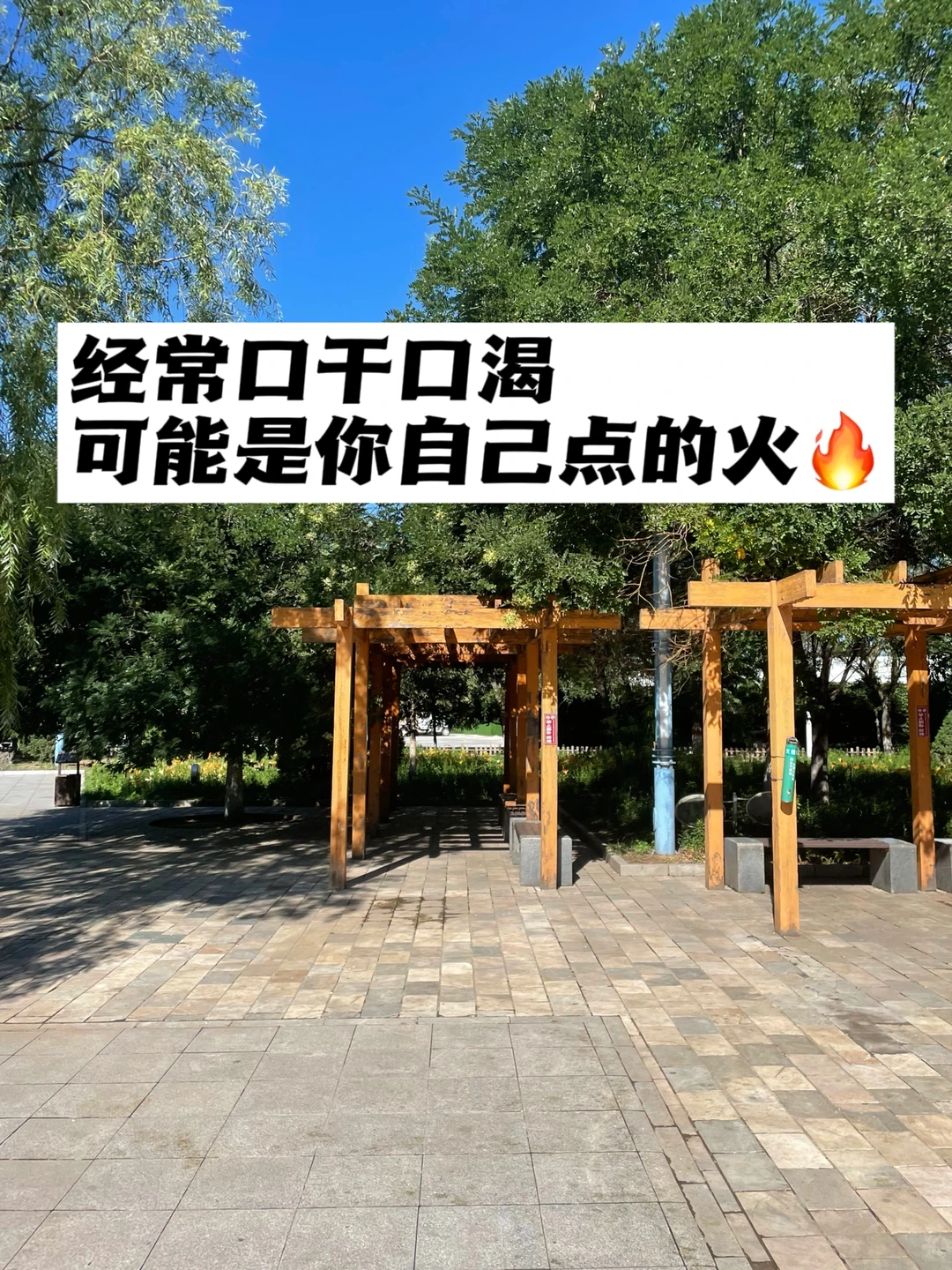 经常口干口渴，可能是你自己点的火🔥.