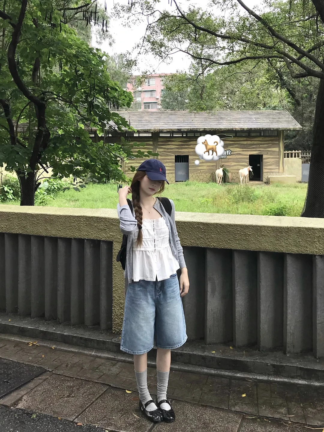 Zoo🌦️