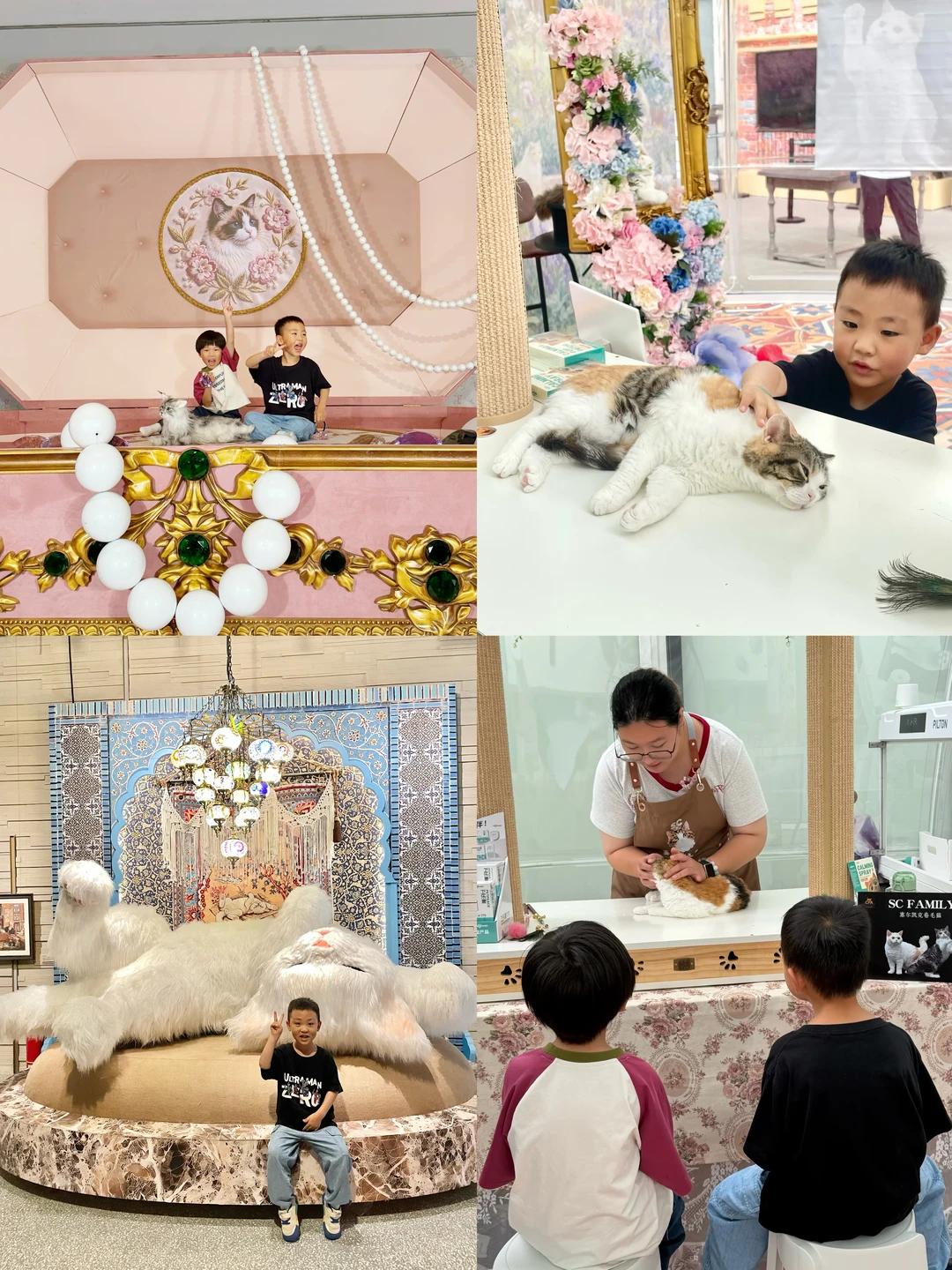 在大英图书馆奇喵史一边撸猫🐱一边学历史