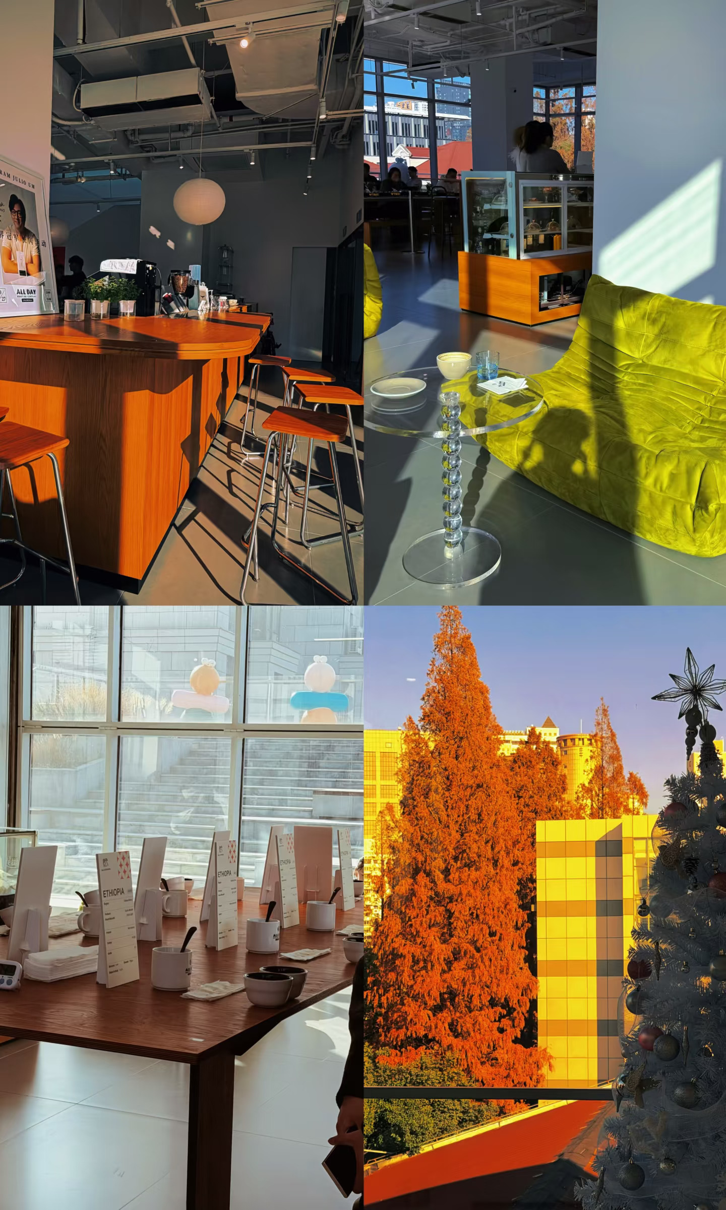 有调调的咖啡店☕️阳光玻璃房&咖啡香