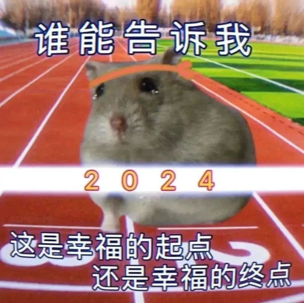 可爱小仓鼠𝙒𝙚𝘾𝙝𝙖𝙩表情包值得拥有