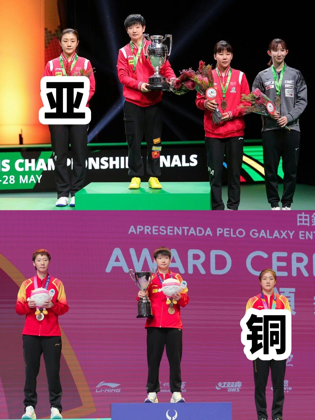 #孙颖莎大满贯只差奥运单打金牌#领奖台上怎么那么多孙颖莎站c位呀？有没有知道的啊[doge] ​