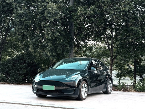 全款9.99万，2021年特斯拉 Model Y