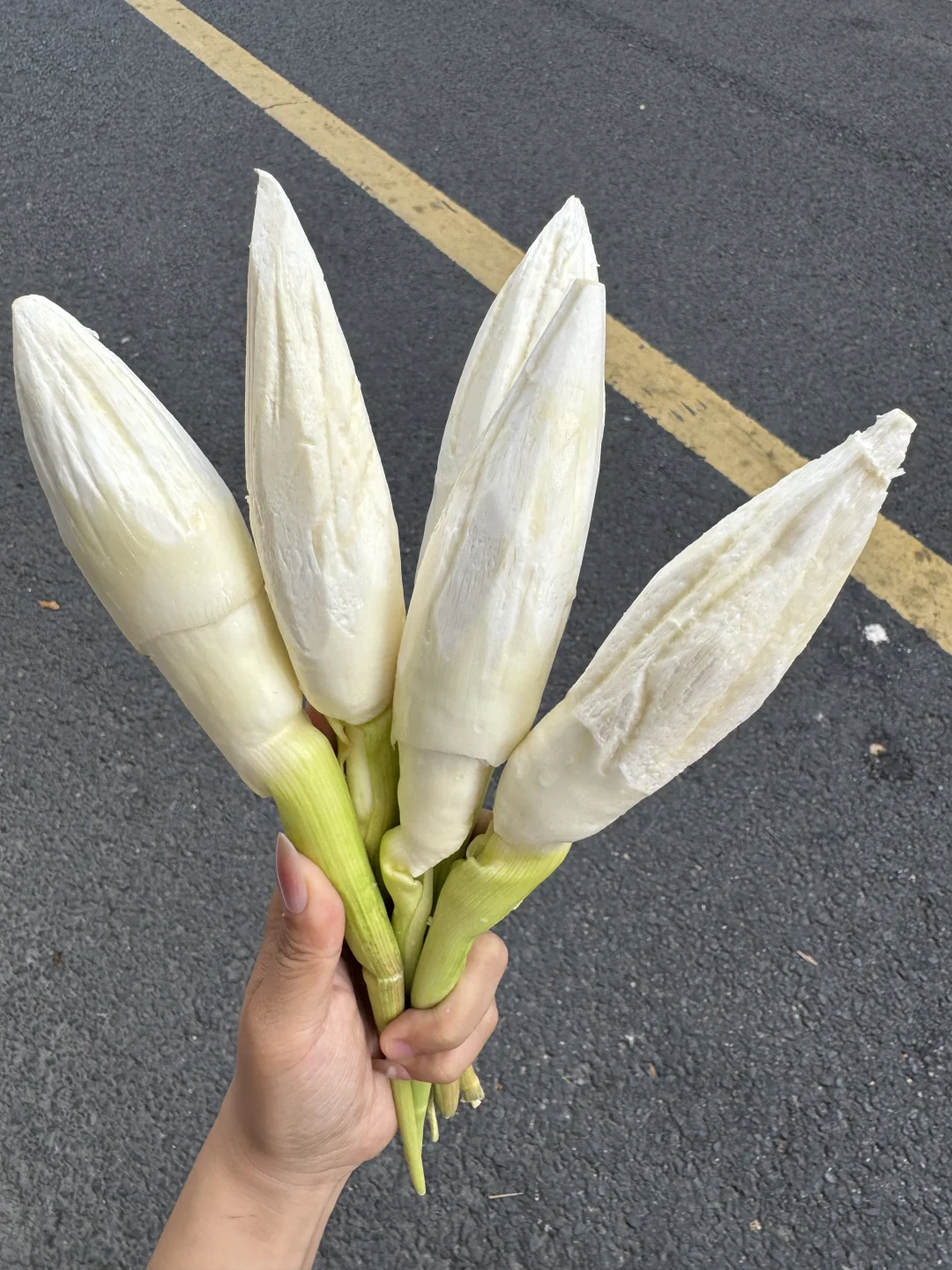 成都这个叫啥？？？有人吃过吗？？？？？？？？