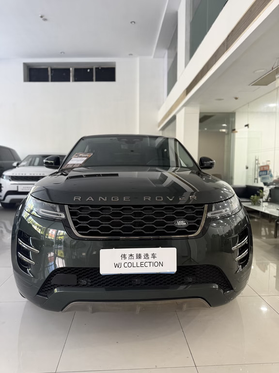 精品二手车极光