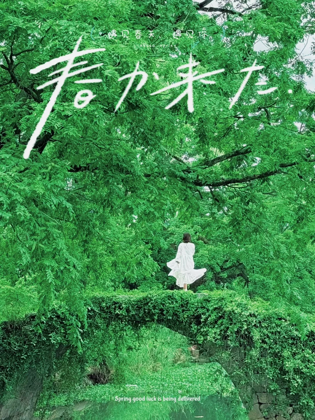 桂林小众秘境🍃住进《小森林》同款花园